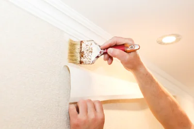 Pose de papier peint à Chêne-Sec — revêtements muraux et toiles de verre